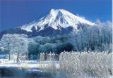 冬景色の富士